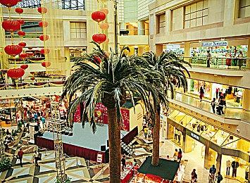 大金刚动作游戏《大金刚：蕉力全开（Donkey Kong Bonanza》公布 登陆Switch 2